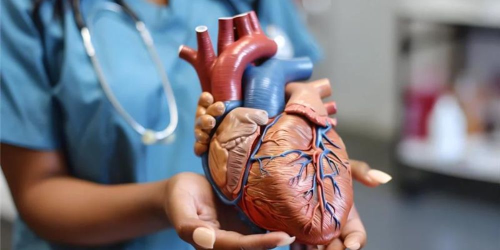 Cardiology