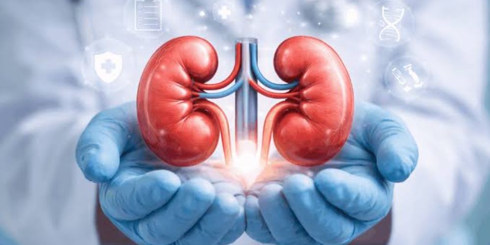 Urology